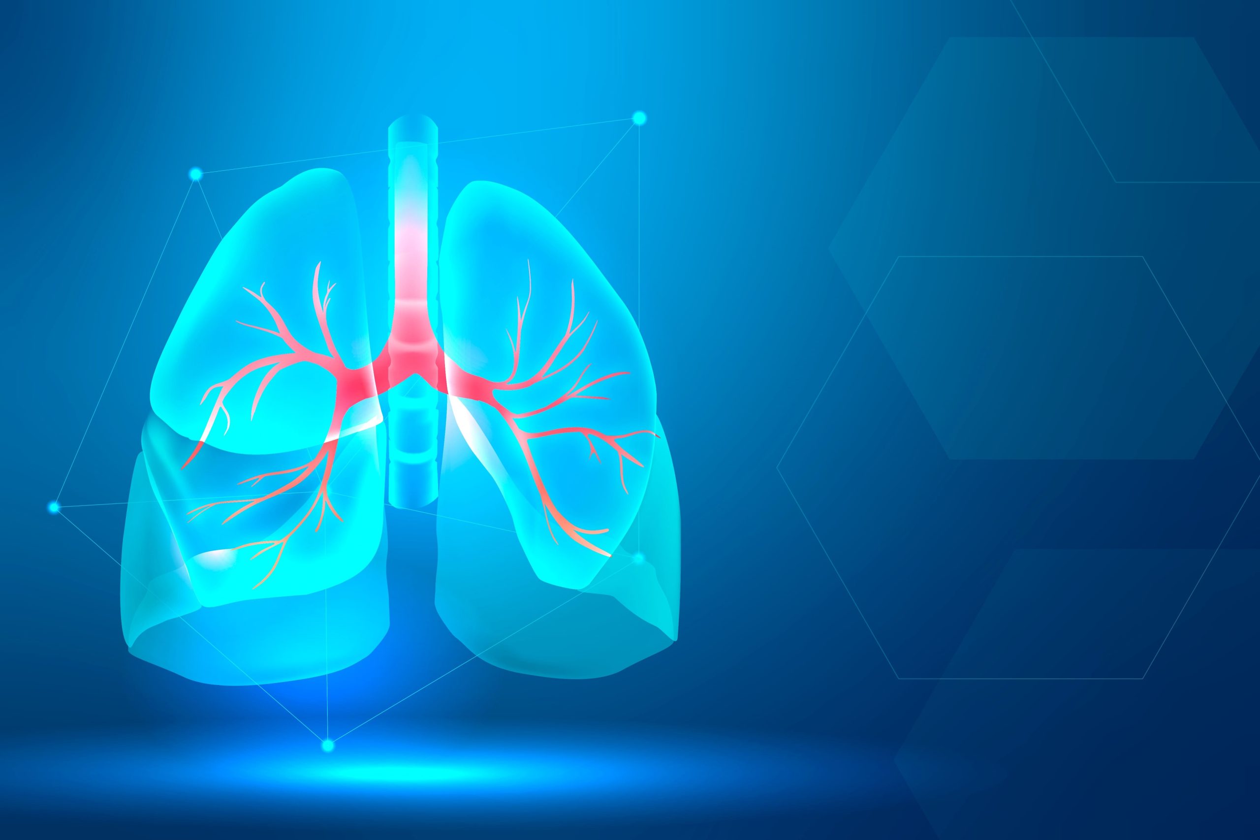 3 variables en el proceso de respiración humana